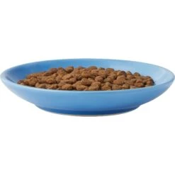 Frisco Cat Face Non-skid Ceramic Cat Dish, Blue -Pet Supplies Store 256101 PT4. AC SS1800 V1617130592