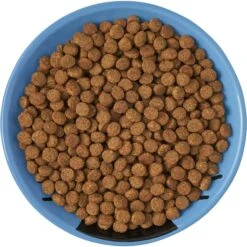 Frisco Cat Face Non-skid Ceramic Cat Dish, Blue -Pet Supplies Store 256101 PT5. AC SS1800 V1615321282