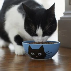 Frisco Cat Face Non-skid Ceramic Cat Bowl, Blue 8 Frisco Cat Face Non-skid Ceramic Cat Bowl, Blue -Pet Supplies Store 256103 PT4. AC SS1800 V1617997004