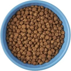 Frisco Cat Face Non-skid Ceramic Cat Bowl, Blue 9 Frisco Cat Face Non-skid Ceramic Cat Bowl, Blue -Pet Supplies Store 256103 PT5. AC SS1800 V1615312900
