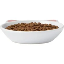 Frisco Cat Face Non-skid Ceramic Cat Dish 10 Frisco Cat Face Non-skid Ceramic Cat Dish -Pet Supplies Store 256105 PT3. AC SS1800 V1615321286