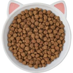 Frisco Cat Face Non-skid Ceramic Cat Dish 11 Frisco Cat Face Non-skid Ceramic Cat Dish -Pet Supplies Store 256105 PT5. AC SS1800 V1615321295