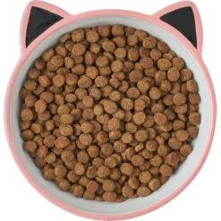 Frisco Cat Face Non-skid Ceramic Cat Bowl, Pink 11 Frisco Cat Face Non-skid Ceramic Cat Bowl, Pink -Pet Supplies Store 256107 PT5. AC SS1800 V1616522494