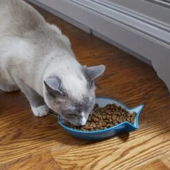 Frisco Fish Shaped Non-skid Ceramic Cat Dish 12 Frisco Fish Shaped Non-skid Ceramic Cat Dish -Pet Supplies Store 256109 PT3. AC SS1800 V1617196297