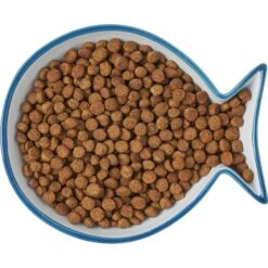 Frisco Fish Shaped Non-skid Ceramic Cat Dish 15 Frisco Fish Shaped Non-skid Ceramic Cat Dish -Pet Supplies Store 256109 PT6. AC SS1800 V1617196895