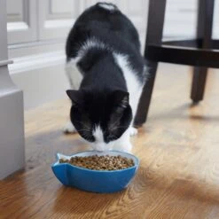 Frisco Fish Shaped Non-skid Ceramic Cat Bowl 14 Frisco Fish Shaped Non-skid Ceramic Cat Bowl -Pet Supplies Store 256111 PT6. AC SS1800 V1617037703