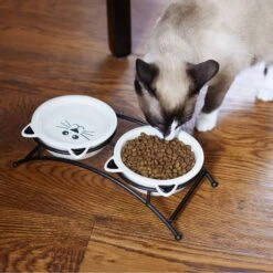 Frisco Cat Face Non-skid Elevated Double Ceramic Cat Bowl -Pet Supplies Store 256113 PT2. AC SS1800 V1616522604
