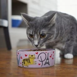 Frisco Paris Non-skid Ceramic Cat Dish 10 Frisco Paris Non-skid Ceramic Cat Dish -Pet Supplies Store 256117 PT2. AC SS1800 V1615311397