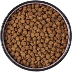 Frisco Paris Non-skid Ceramic Cat Dish 13 Frisco Paris Non-skid Ceramic Cat Dish -Pet Supplies Store 256117 PT5. AC SS1800 V1615311392