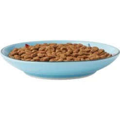 Frisco New York Non-skid Ceramic Cat Dish -Pet Supplies Store 256119 PT5. AC SS1800 V1618494742