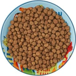 Frisco New York Non-skid Ceramic Cat Dish -Pet Supplies Store 256119 PT6. AC SS1800 V1617196905