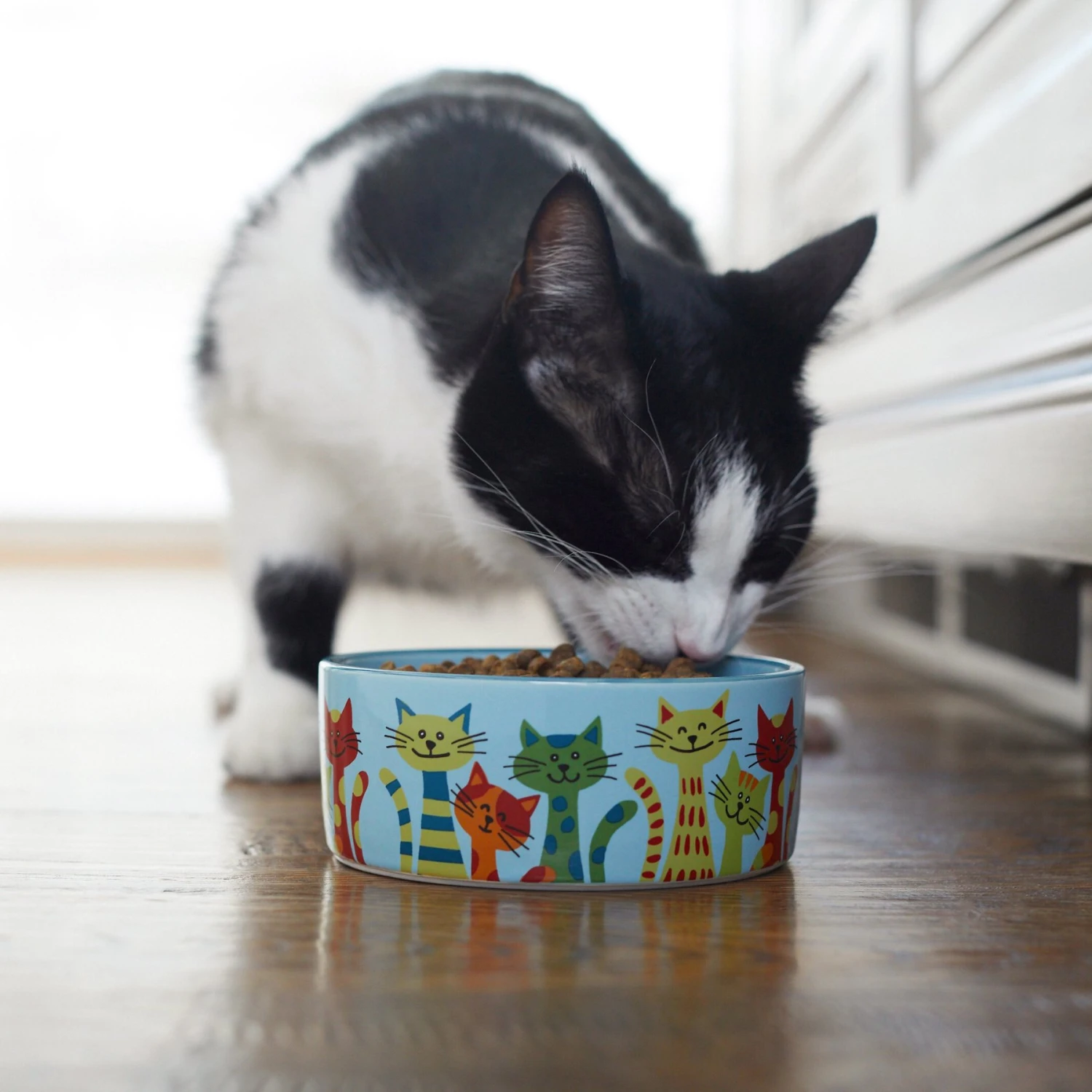 Frisco New York Non-skid Ceramic Cat Bowl 5 Frisco New York Non-skid Ceramic Cat Bowl - Image 3