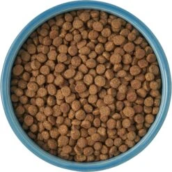 Frisco New York Non-skid Ceramic Cat Bowl 13 Frisco New York Non-skid Ceramic Cat Bowl -Pet Supplies Store 256121 PT5. AC SS1800 V1615311387