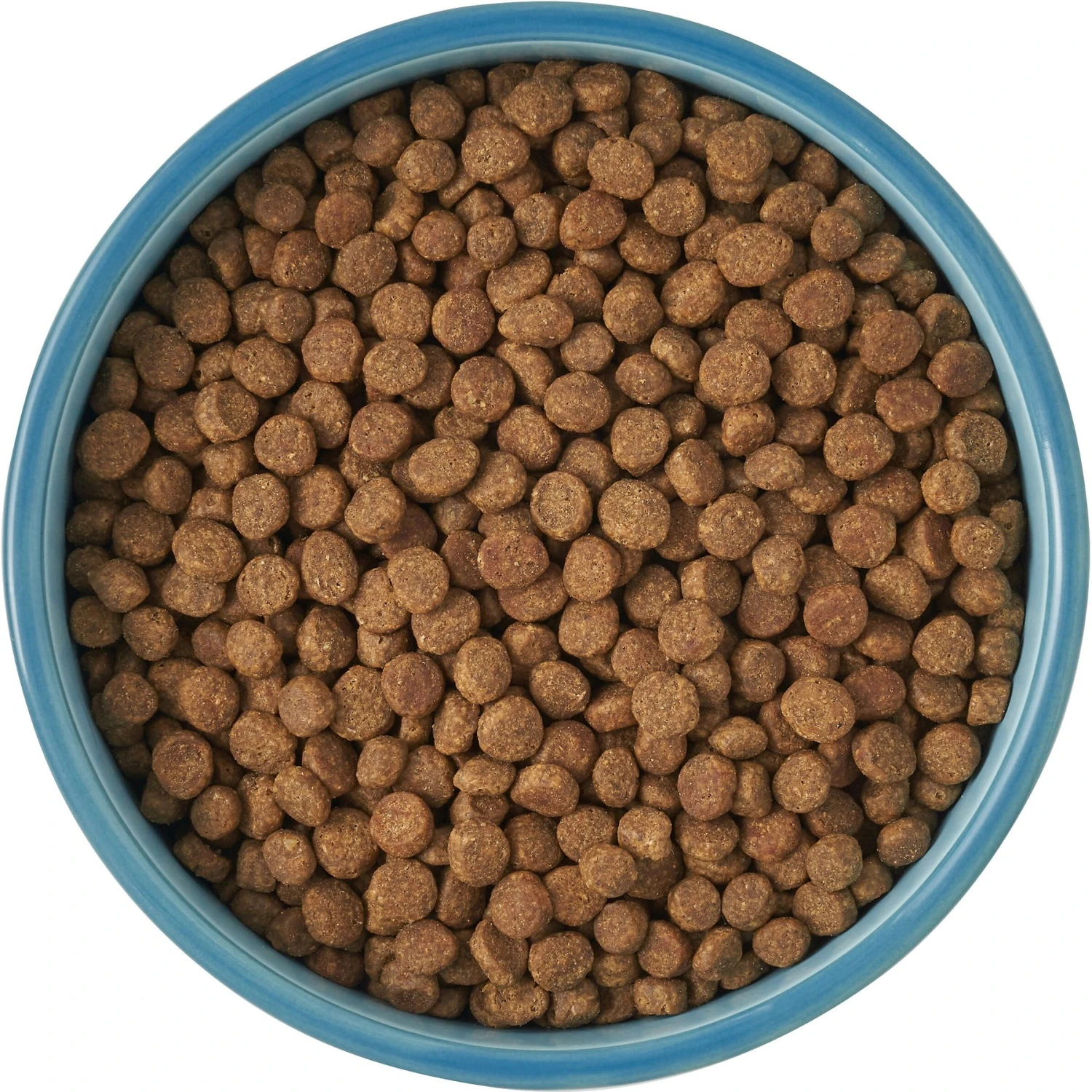 Frisco New York Non-skid Ceramic Cat Bowl 8 Frisco New York Non-skid Ceramic Cat Bowl - Image 6