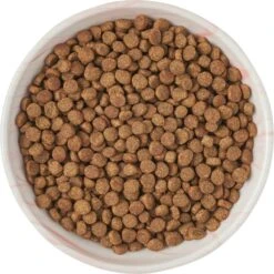 Frisco Marble Design Non-skid Ceramic Cat Bowl -Pet Supplies Store 256125 PT5. AC SS1800 V1615311382