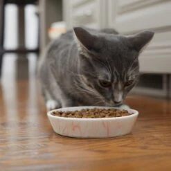 Frisco Marble Design Non-skid Ceramic Cat Bowl -Pet Supplies Store 256125 PT6. AC SS1800 V1617037714