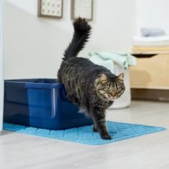 Frisco Quilted Cat Litter Mat -Pet Supplies Store 258210 PT3. AC SS1800 V1675279933
