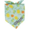 Frisco Citrus Personalized Dog & Cat Bandana 1 Frisco Citrus Personalized Dog & Cat Bandana -Pet Supplies Store 258758 MAIN. AC SS1800 V1619558872