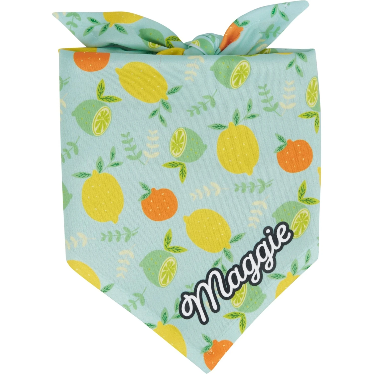 Frisco Citrus Personalized Dog & Cat Bandana 3 Frisco Citrus Personalized Dog & Cat Bandana
