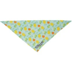 Frisco Citrus Personalized Dog & Cat Bandana 14 Frisco Citrus Personalized Dog & Cat Bandana -Pet Supplies Store 258758 PT3. AC SS1800 V1619559797
