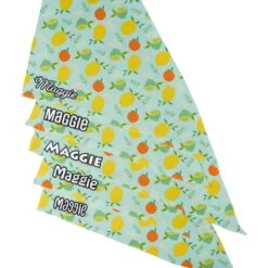Frisco Citrus Personalized Dog & Cat Bandana 15 Frisco Citrus Personalized Dog & Cat Bandana -Pet Supplies Store 258758 PT4. AC SS1800 V1619558899
