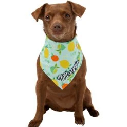 Frisco Citrus Personalized Dog & Cat Bandana 17 Frisco Citrus Personalized Dog & Cat Bandana -Pet Supplies Store 258758 PT6. AC SS1800 V1619560354