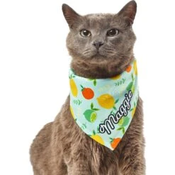 Frisco Citrus Personalized Dog & Cat Bandana 18 Frisco Citrus Personalized Dog & Cat Bandana -Pet Supplies Store 258758 PT7. AC SS1800 V1619560408