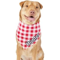 Frisco Gingham Personalized Dog & Cat Bandana 17 Frisco Gingham Personalized Dog & Cat Bandana -Pet Supplies Store 258775 PT6. AC SS1800 V1619558303