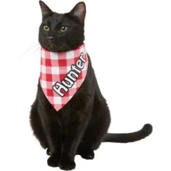 Frisco Gingham Personalized Dog & Cat Bandana 18 Frisco Gingham Personalized Dog & Cat Bandana -Pet Supplies Store 258775 PT7. AC SS1800 V1619558565