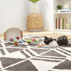 Goody Box Kitten Toys & Treats -Pet Supplies Store 258991 PT4. AC SS1800 V1657656402