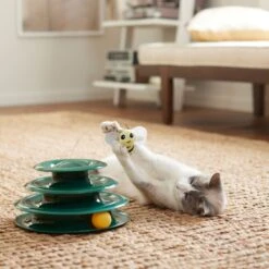 Goody Box Kitten Toys & Treats -Pet Supplies Store 258991 PT5. AC SS1800 V1657656402