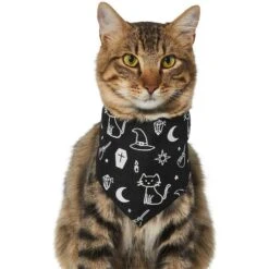 Frisco Glow In The Dark Mystical Print Dog & Cat Bandana -Pet Supplies Store 261218 PT2. AC SS1800 V1633086982