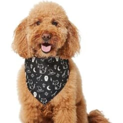 Frisco Glow In The Dark Mystical Print Dog & Cat Bandana -Pet Supplies Store 261218 PT3. AC SS1800 V1633068720