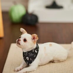 Frisco Glow In The Dark Mystical Print Dog & Cat Bandana -Pet Supplies Store 261218 PT5. AC SS1800 V1633057869