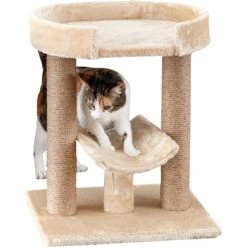 Two By Two The Laurel 21.1-in Jute Cat Scratching Post, Beige 8 Two By Two The Laurel 21.1-in Jute Cat Scratching Post, Beige -Pet Supplies Store 261431 PT2. AC SS1800 V1606148528