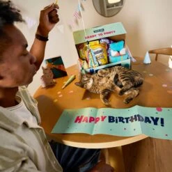 Goody Box Birthday Cat Toys, Treats & Collar 13 Goody Box Birthday Cat Toys, Treats & Collar -Pet Supplies Store 264415 PT2. AC SS1800 V1678387796