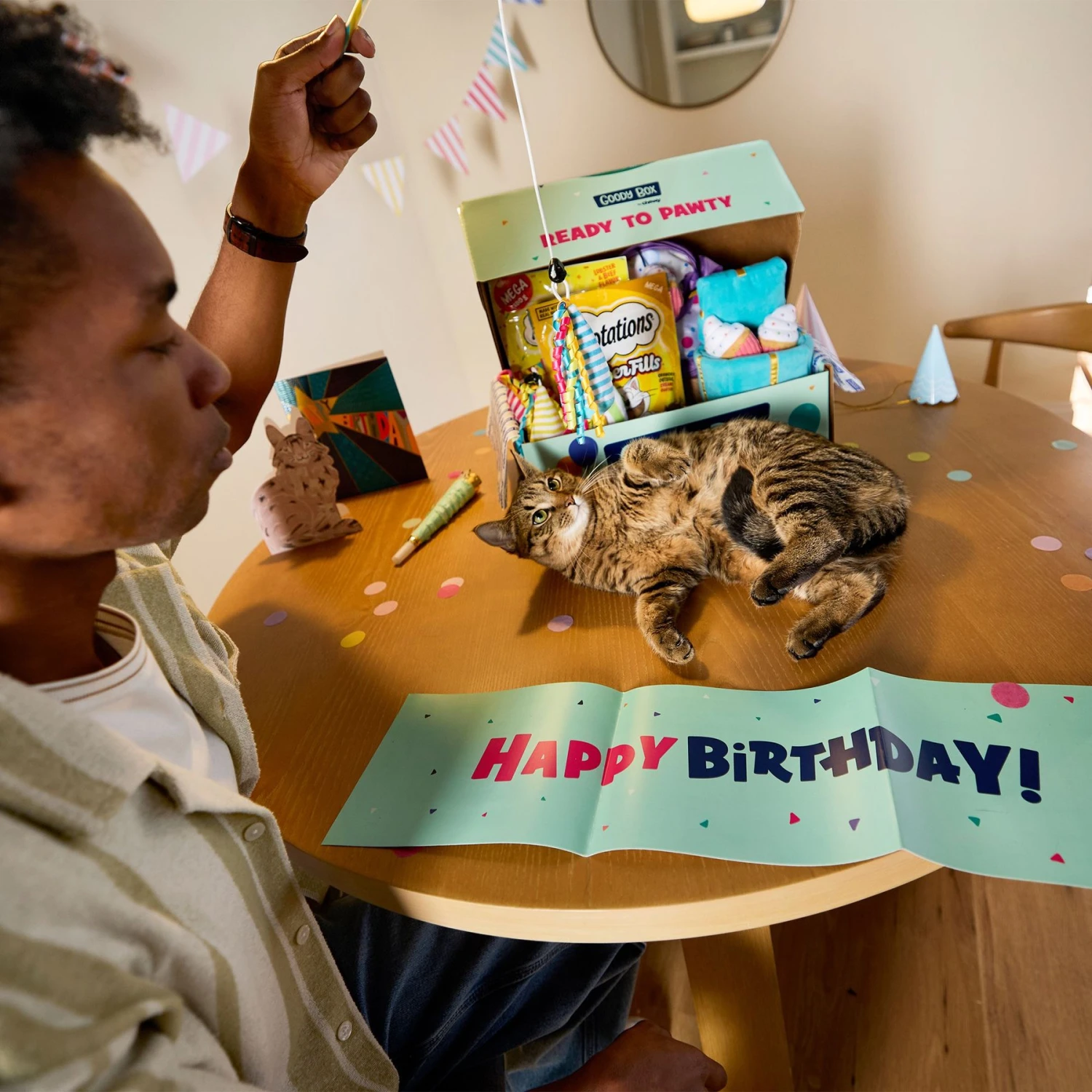 Goody Box Birthday Cat Toys, Treats & Collar 5 Goody Box Birthday Cat Toys, Treats & Collar - Image 3