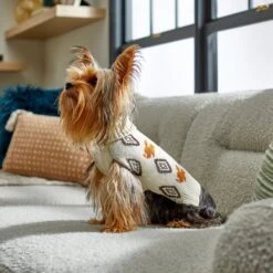 Disney Mickey Mouse Southwest Patterned Dog & Cat Sweater -Pet Supplies Store 264577 PT8. AC SS1800 V1646178494