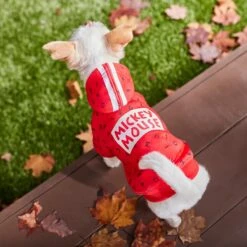 Disney Mickey Mouse Graphic Dog & Cat Hoodie 17 Disney Mickey Mouse Graphic Dog & Cat Hoodie -Pet Supplies Store 264647 PT8. AC SS1800 V1629488722