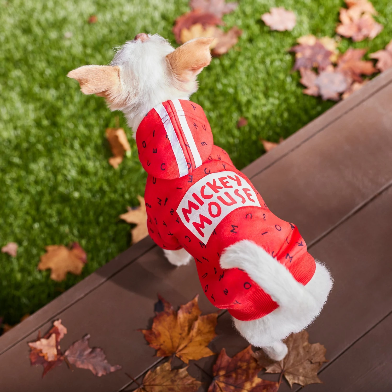 Disney Mickey Mouse Graphic Dog & Cat Hoodie 10 Disney Mickey Mouse Graphic Dog & Cat Hoodie - Image 8