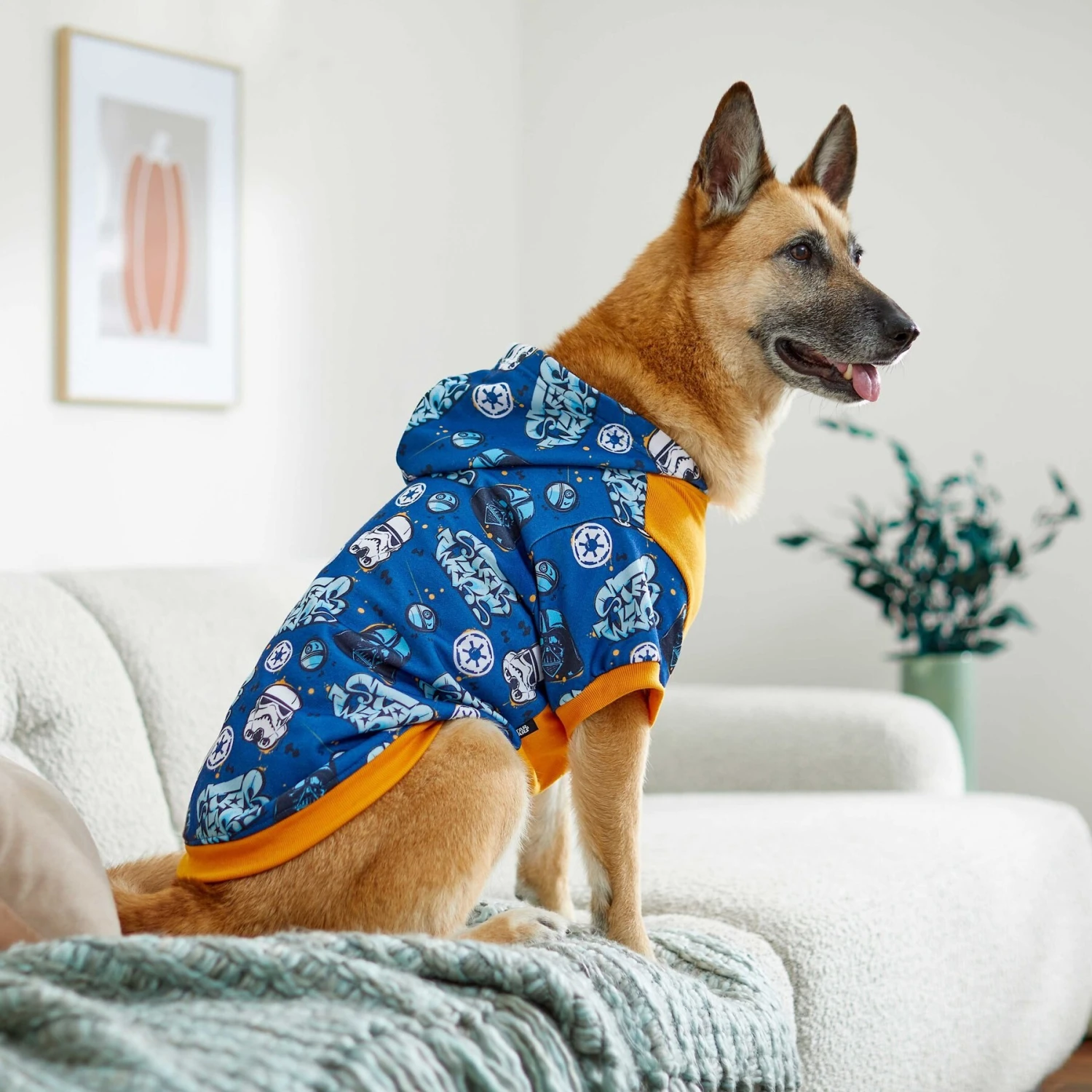 STAR WARS Graffiti Print Dog & Cat Hoodie 10 STAR WARS Graffiti Print Dog & Cat Hoodie - Image 8