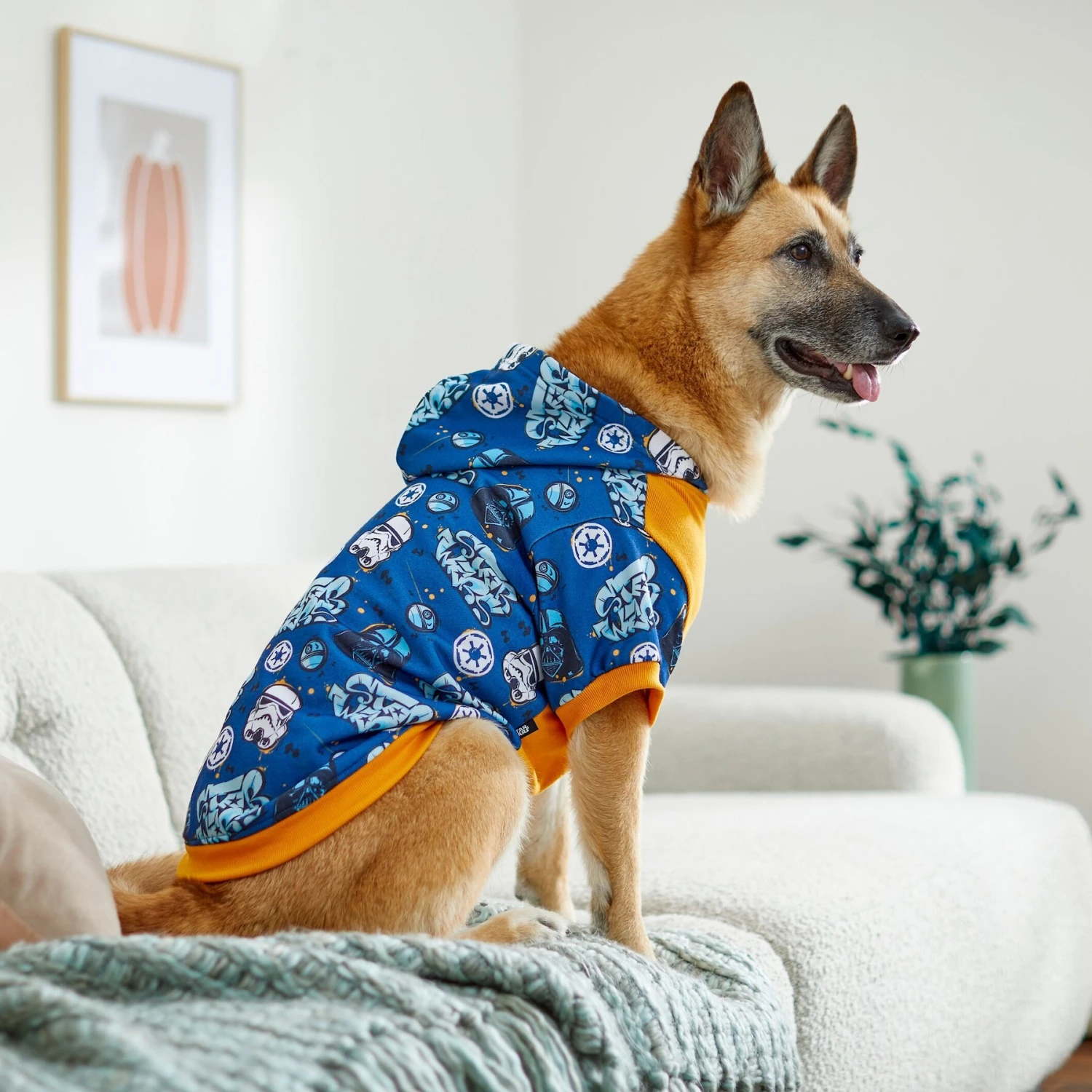 STAR WARS Graffiti Print Dog & Cat Hoodie 11 STAR WARS Graffiti Print Dog & Cat Hoodie - Image 9