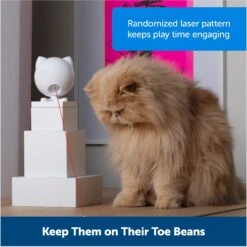 PetSafe Dancing Dot Laser Cat Toy -Pet Supplies Store 266211 PT5. AC SS1800 V1676318551