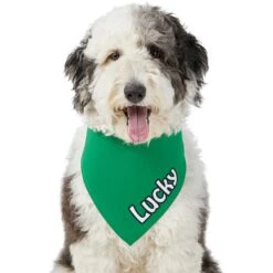 Frisco Solid Color Personalized Dog & Cat Bandana 17 Frisco Solid Color Personalized Dog & Cat Bandana -Pet Supplies Store 267489 PT6. AC SS1800 V1632418582