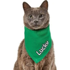 Frisco Solid Color Personalized Dog & Cat Bandana 18 Frisco Solid Color Personalized Dog & Cat Bandana -Pet Supplies Store 267489 PT7. AC SS1800 V1632431774