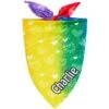 Frisco Rainbow Hearts Personalized Dog & Cat Bandana -Pet Supplies Store 267539 MAIN. AC SS1800 V1632683779