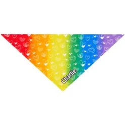 Frisco Rainbow Hearts Personalized Dog & Cat Bandana 13 Frisco Rainbow Hearts Personalized Dog & Cat Bandana -Pet Supplies Store 267539 PT2. AC SS1800 V1632687993