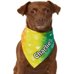 Frisco Rainbow Hearts Personalized Dog & Cat Bandana 16 Frisco Rainbow Hearts Personalized Dog & Cat Bandana -Pet Supplies Store 267539 PT5. AC SS1800 V1632432071