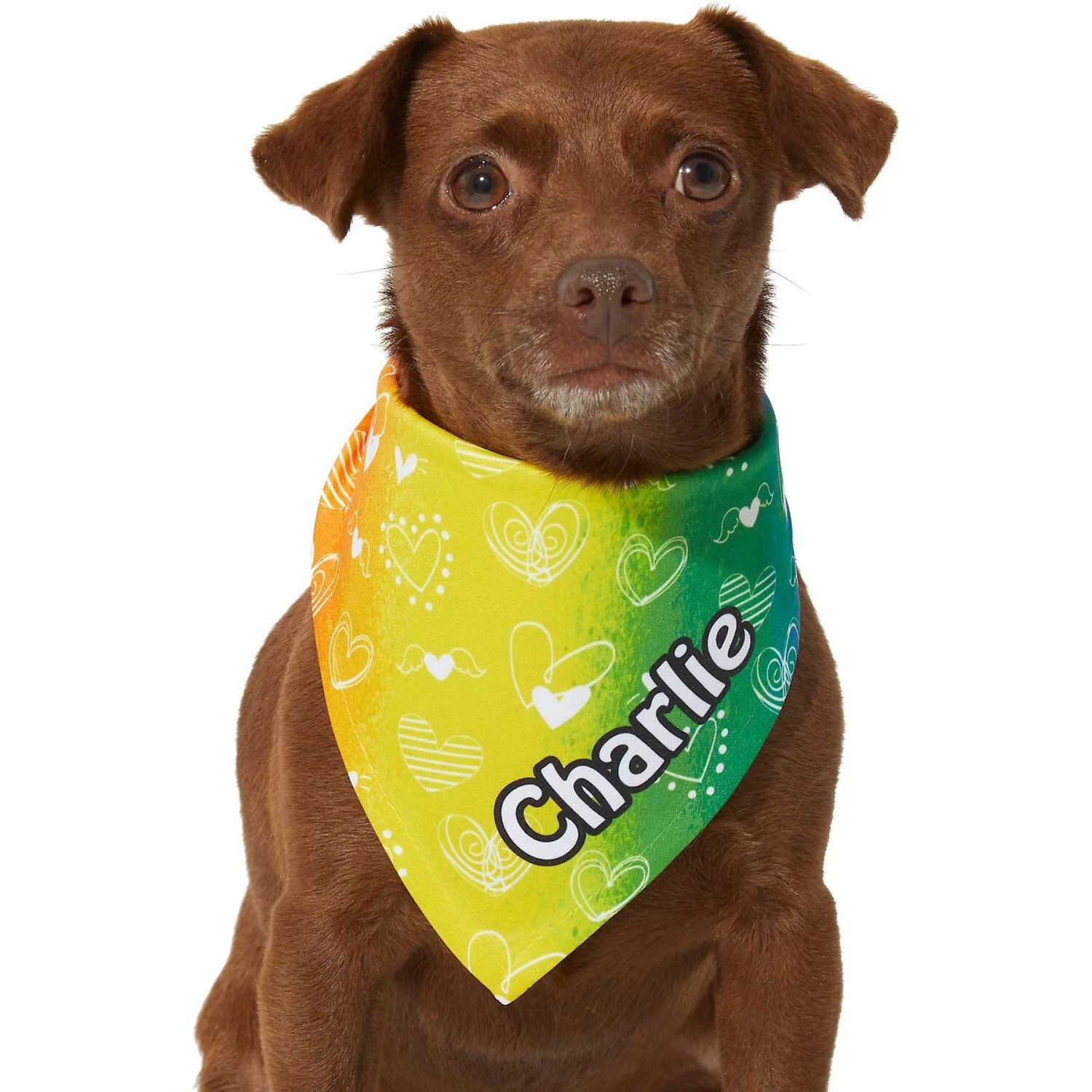Frisco Rainbow Hearts Personalized Dog & Cat Bandana 8 Frisco Rainbow Hearts Personalized Dog & Cat Bandana - Image 6