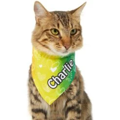 Frisco Rainbow Hearts Personalized Dog & Cat Bandana 17 Frisco Rainbow Hearts Personalized Dog & Cat Bandana -Pet Supplies Store 267539 PT6. AC SS1800 V1632420703